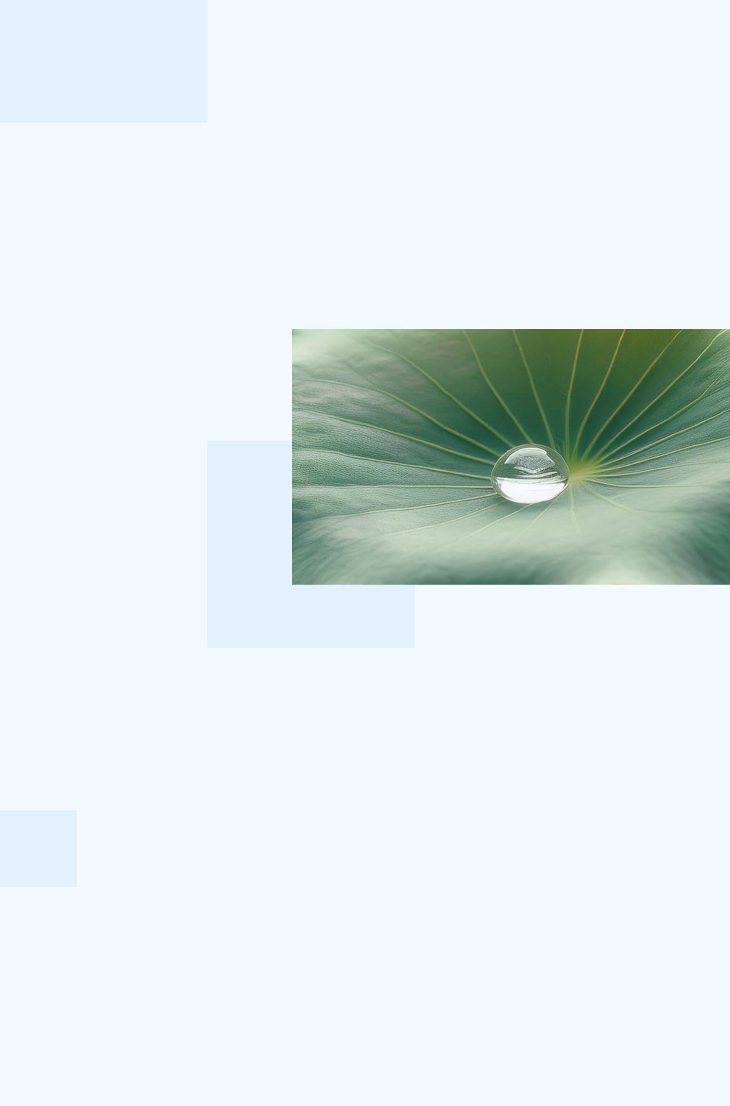 背景の画像