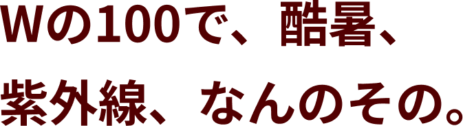 テキストの画像