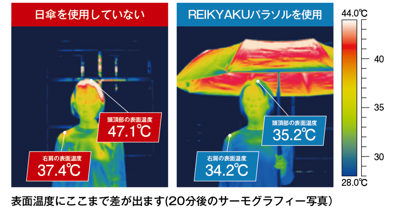 試験結果の画像